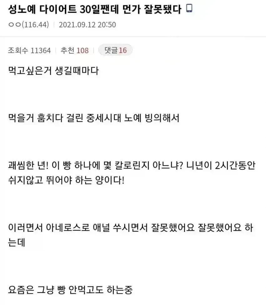 성노예 다이어트