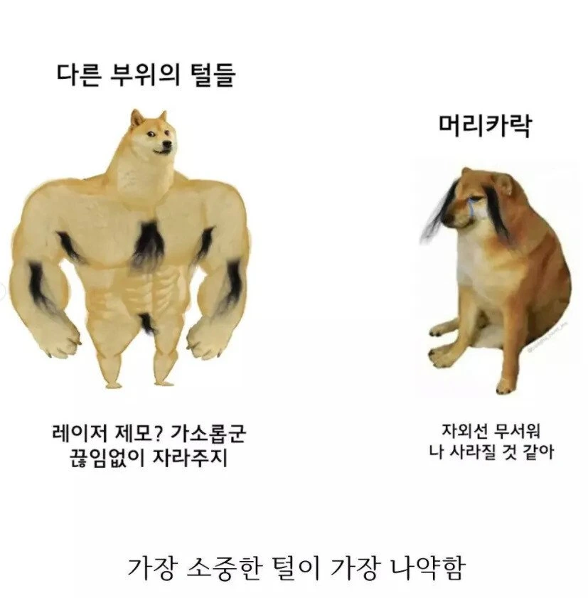 인체의 신비.jpg