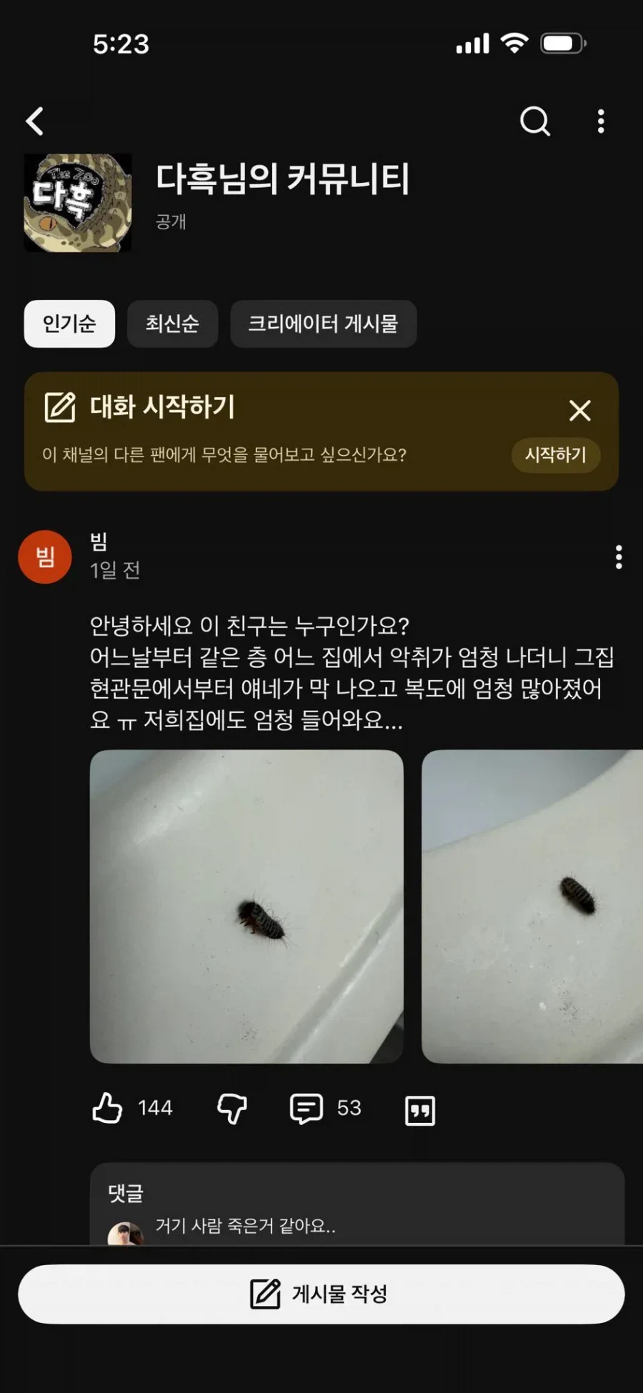 실내에 보이는 순간 ㅈ 된 거라는 벌레