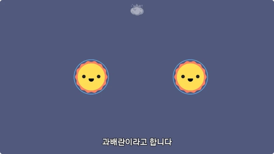 사람은 이론상 오십쌍둥이를 낳을 수 있다.jpg - 이미지 2