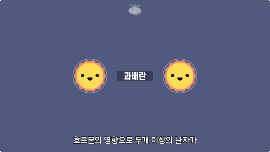 사람은 이론상 오십쌍둥이를 낳을 수 있다.jpg - 이미지 3