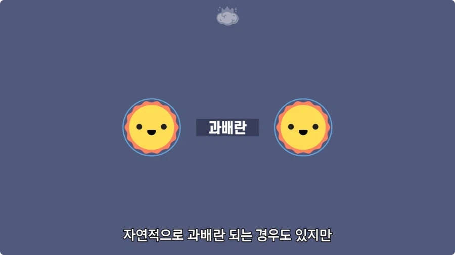 사람은 이론상 오십쌍둥이를 낳을 수 있다.jpg - 이미지 4