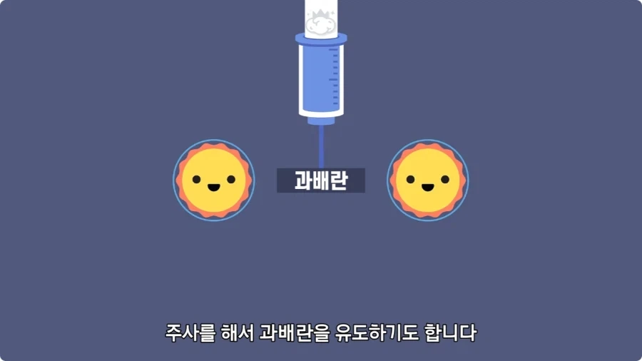 사람은 이론상 오십쌍둥이를 낳을 수 있다.jpg - 이미지 6