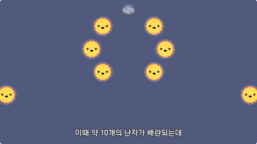 사람은 이론상 오십쌍둥이를 낳을 수 있다.jpg - 이미지 7
