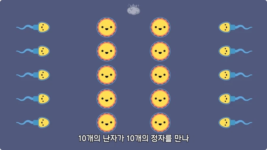 사람은 이론상 오십쌍둥이를 낳을 수 있다.jpg - 이미지 8