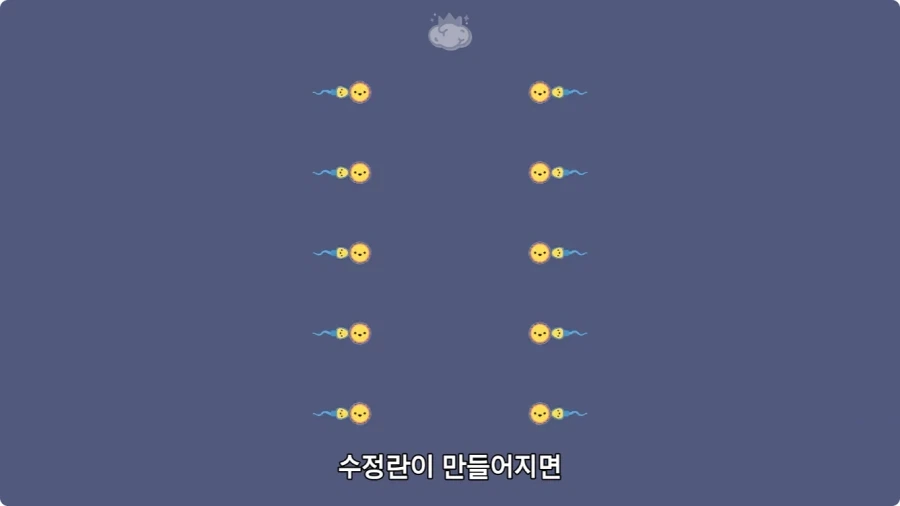 사람은 이론상 오십쌍둥이를 낳을 수 있다.jpg - 이미지 9