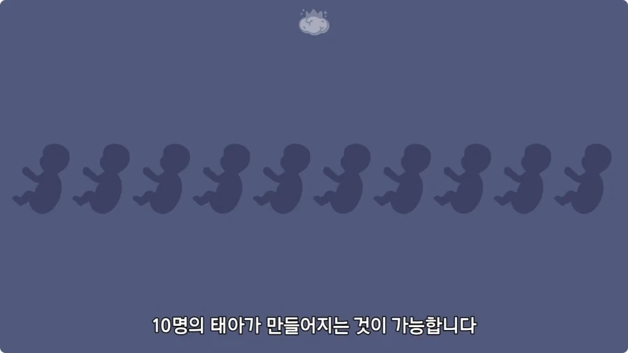 사람은 이론상 오십쌍둥이를 낳을 수 있다.jpg - 이미지 10