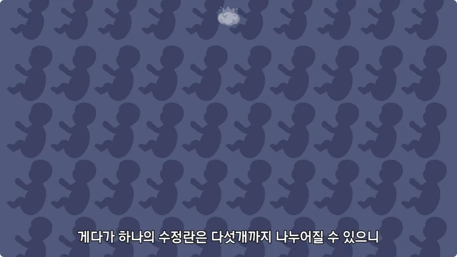 사람은 이론상 오십쌍둥이를 낳을 수 있다.jpg - 이미지 11