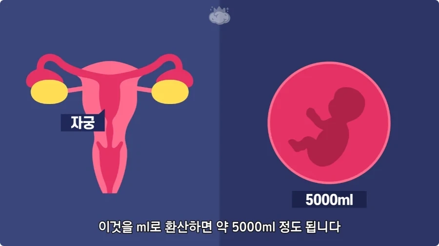 사람은 이론상 오십쌍둥이를 낳을 수 있다.jpg - 이미지 16
