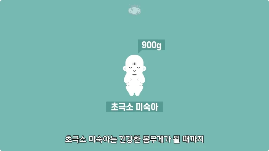 사람은 이론상 오십쌍둥이를 낳을 수 있다.jpg - 이미지 19