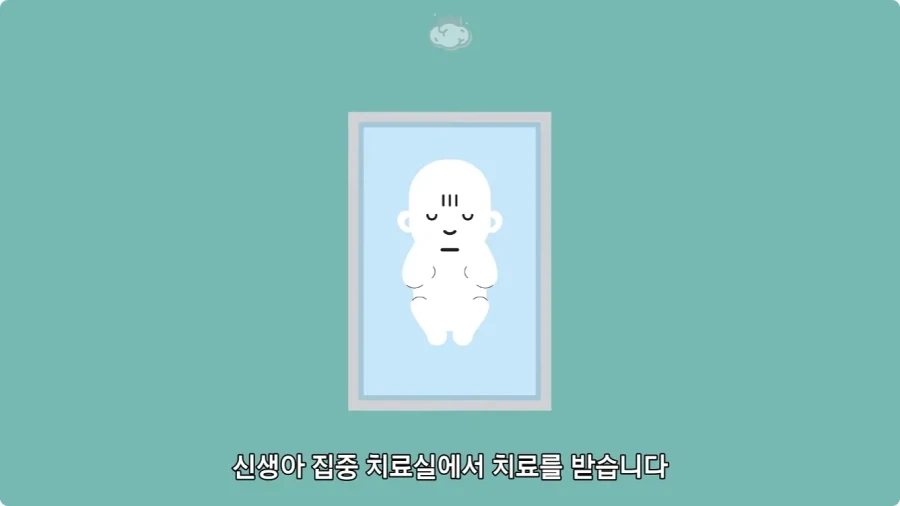 사람은 이론상 오십쌍둥이를 낳을 수 있다.jpg - 이미지 20