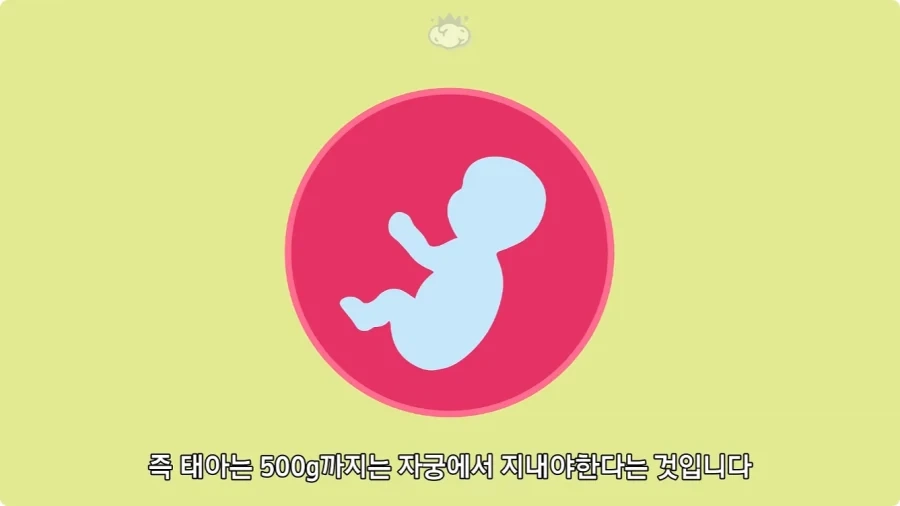 사람은 이론상 오십쌍둥이를 낳을 수 있다.jpg - 이미지 23
