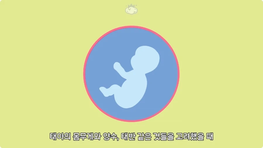 사람은 이론상 오십쌍둥이를 낳을 수 있다.jpg - 이미지 24