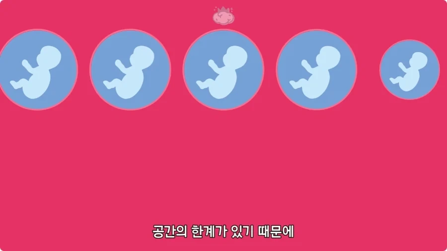 사람은 이론상 오십쌍둥이를 낳을 수 있다.jpg - 이미지 28