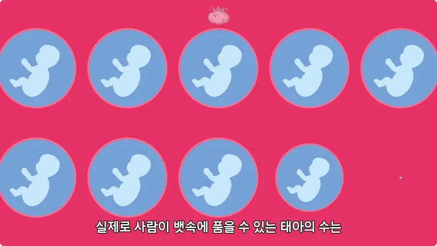 사람은 이론상 오십쌍둥이를 낳을 수 있다.jpg - 이미지 29