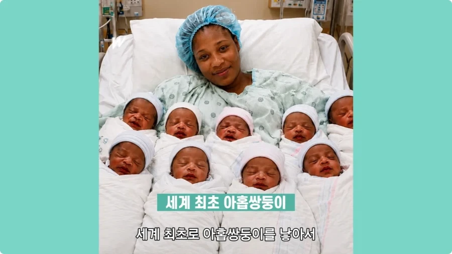 사람은 이론상 오십쌍둥이를 낳을 수 있다.jpg - 이미지 33