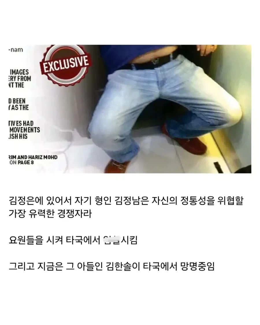 김주애가 북한 지도자가 되면 북한이 둘로 쪼개질 가능성이 높은 이유.jpg - 이미지 7