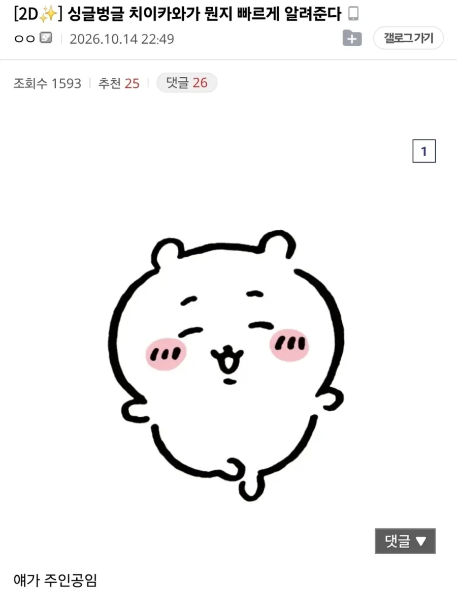 영화 보기 전 치이카와가 뭔지 빠르게 알려준다.jpg