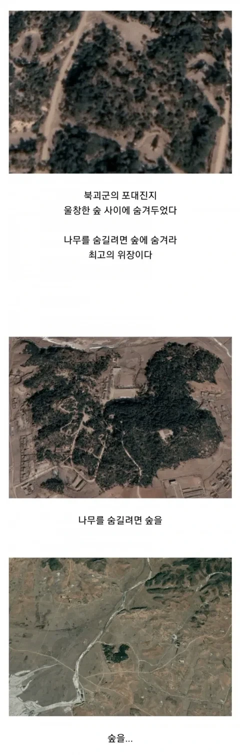 솔직히 북한의 진지 위장술은 경계해야됨