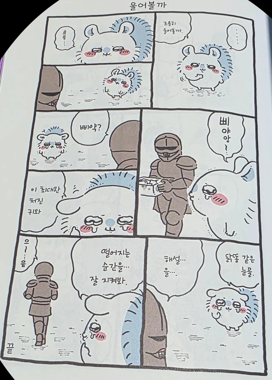 치이카와) 겉모습으로 엄청 인기끄는 모몽가