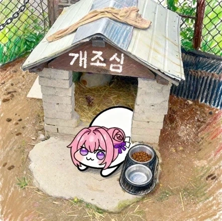 주택청약이 왜 필요하냐??