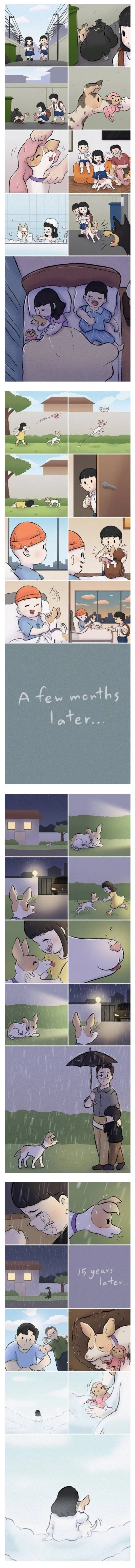 길에서 유기견 줍는 만화.manhwa