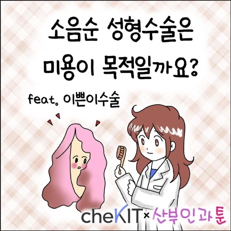 여자들이 ㅅㅇㅅ 성형수술을 하는 이유 Manhwa.
