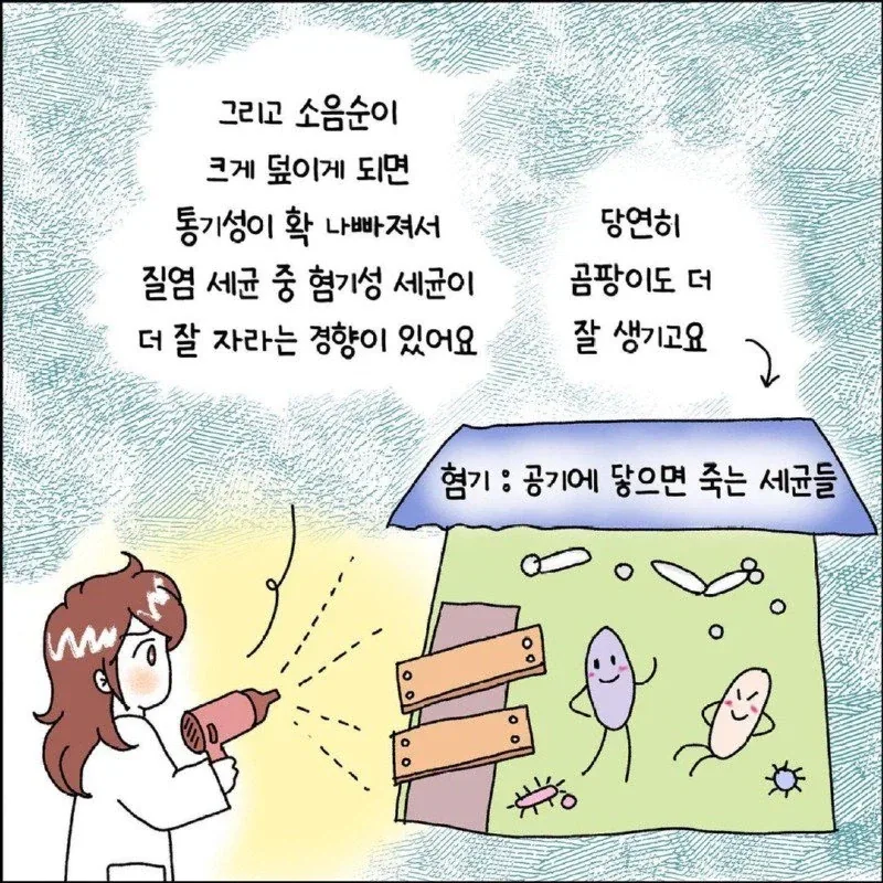 여자들이 ㅅㅇㅅ 성형수술을 하는 이유 Manhwa. - 이미지 4