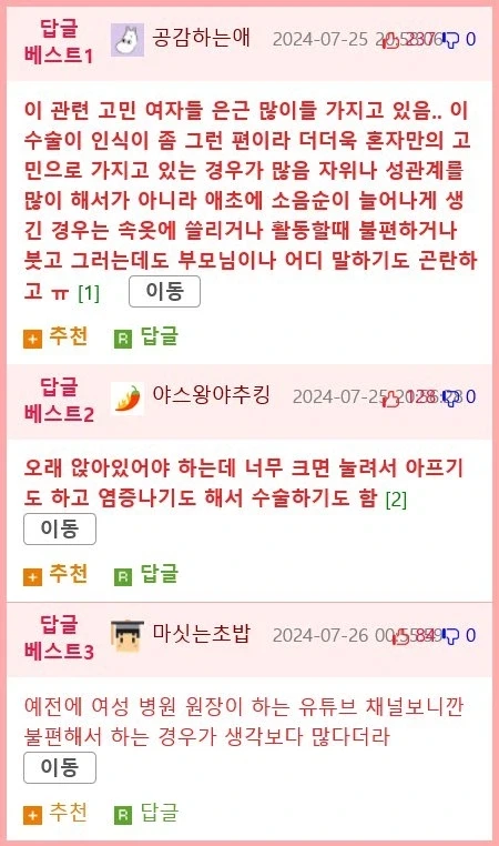 여자들이 ㅅㅇㅅ 성형수술을 하는 이유 Manhwa. - 이미지 9
