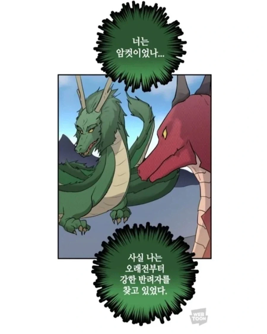 동양 용 vs 서양 용.manhwa - 이미지 6