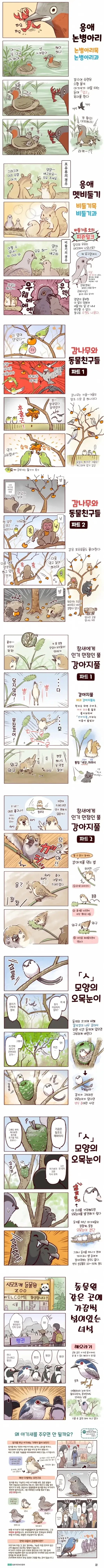 귀여운 새들의 습성.manhwa - 이미지 2