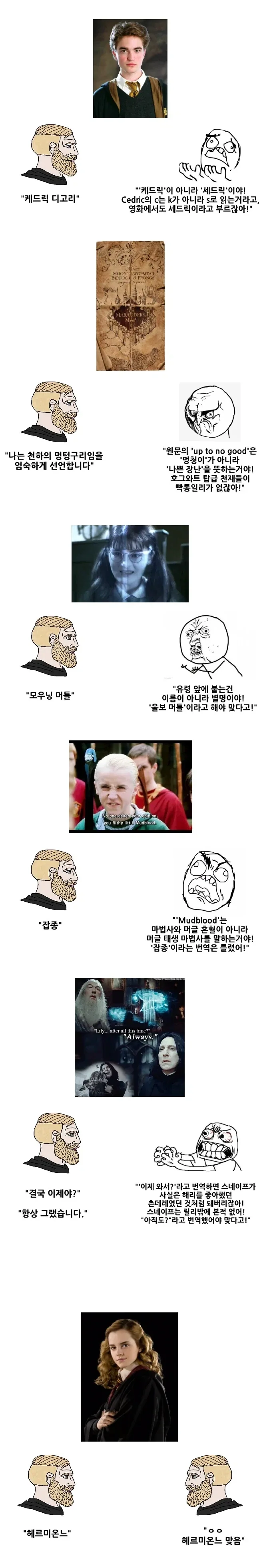 해리 포터의 유명한 오역들