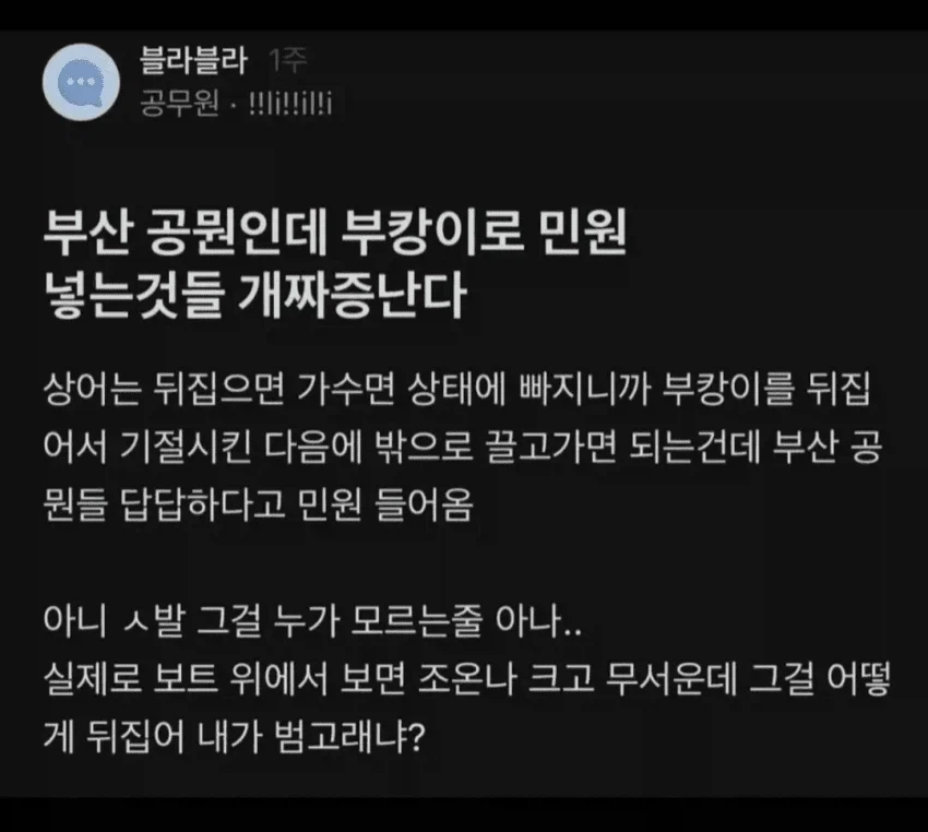 부캉이 민원 때문에 빡친 부산 공무원