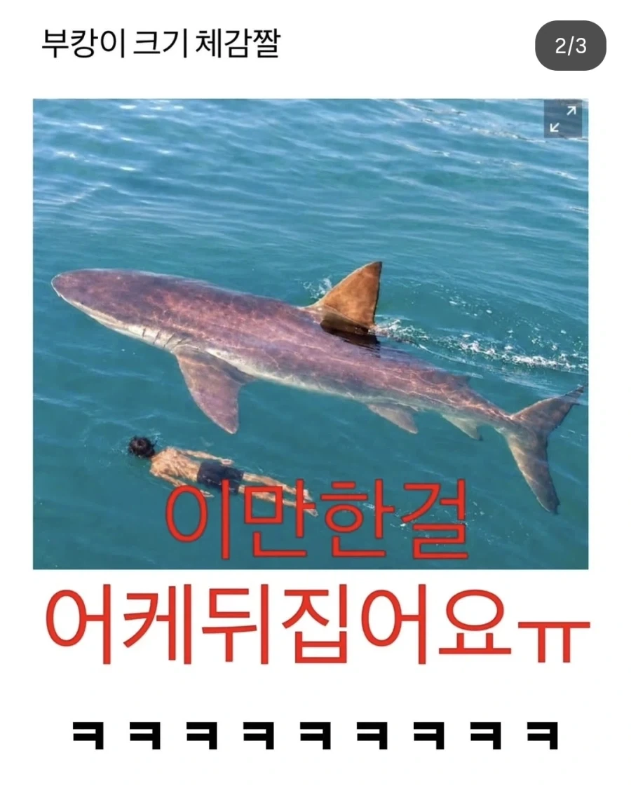 부캉이 민원 때문에 빡친 부산 공무원 - 이미지 2