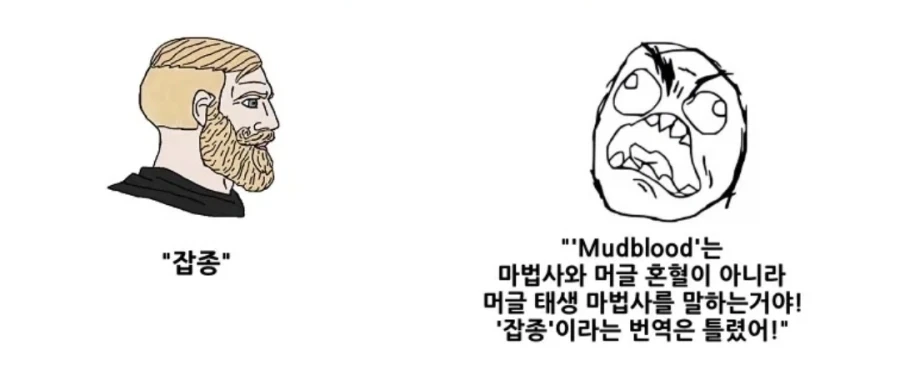 해리포터) 개정판에서 잡종을 머드블러드로 바꾼게 잘했다고 생각되는 이유가