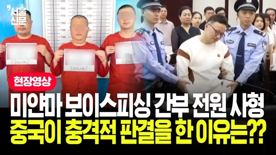중국이 한국보다 확실히 나은 분야