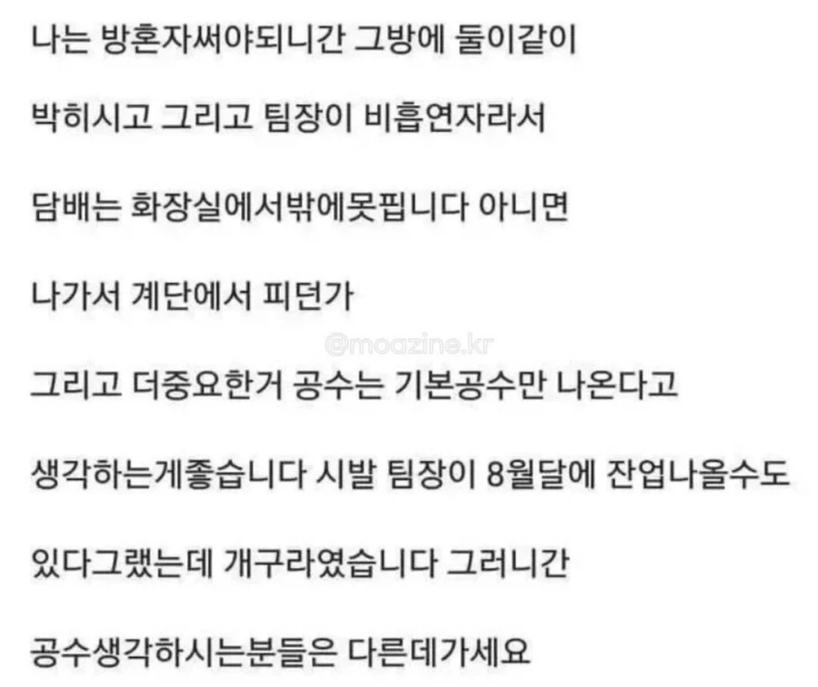 과장없는 구인광고 - 이미지 6
