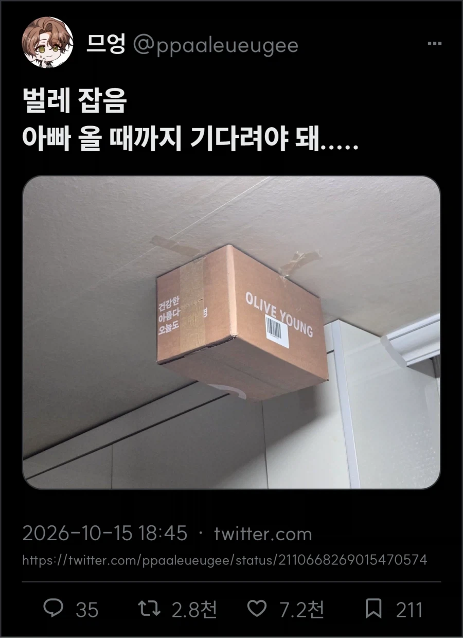 벌레 잡아놓음
