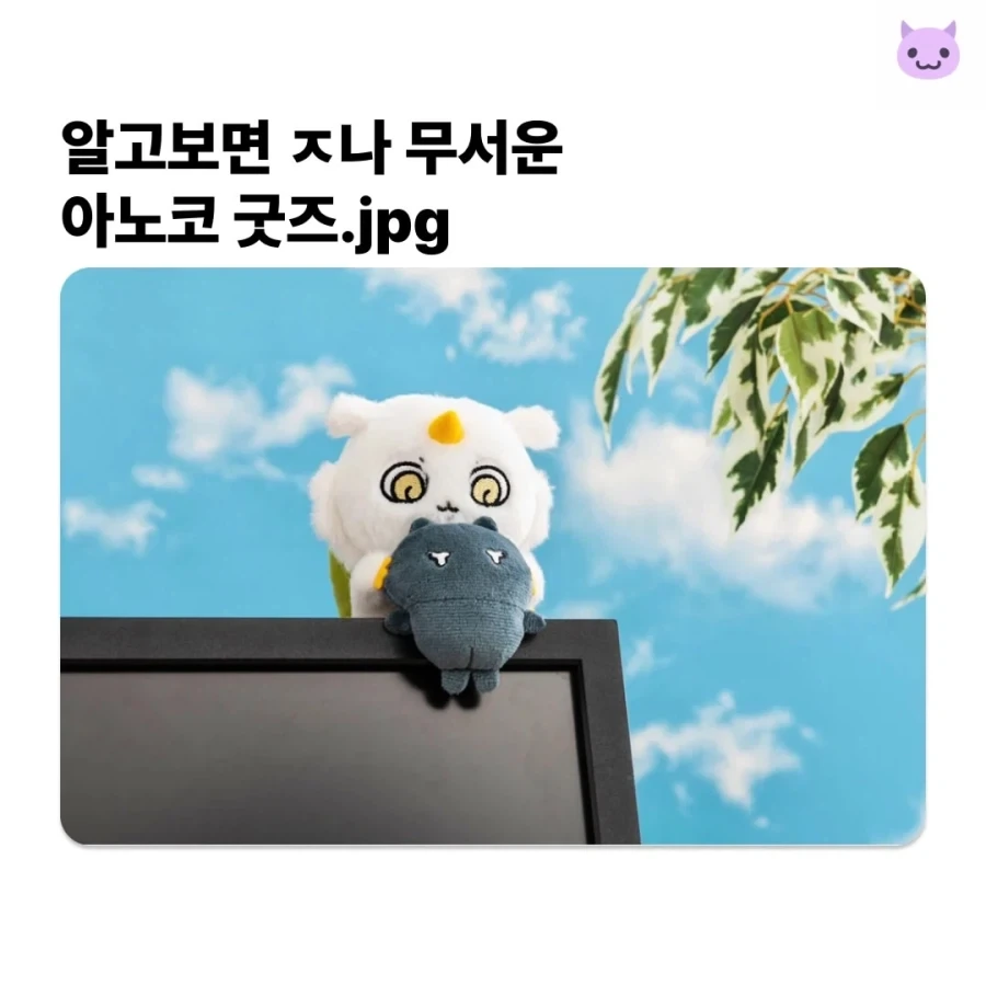 알고 보면 ㅈㄴ 무서운 먼작귀 굿즈.jpg
