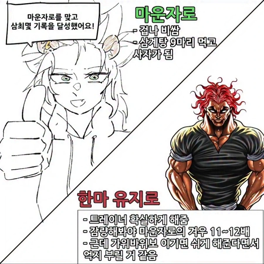 마운자로 VS 유지로