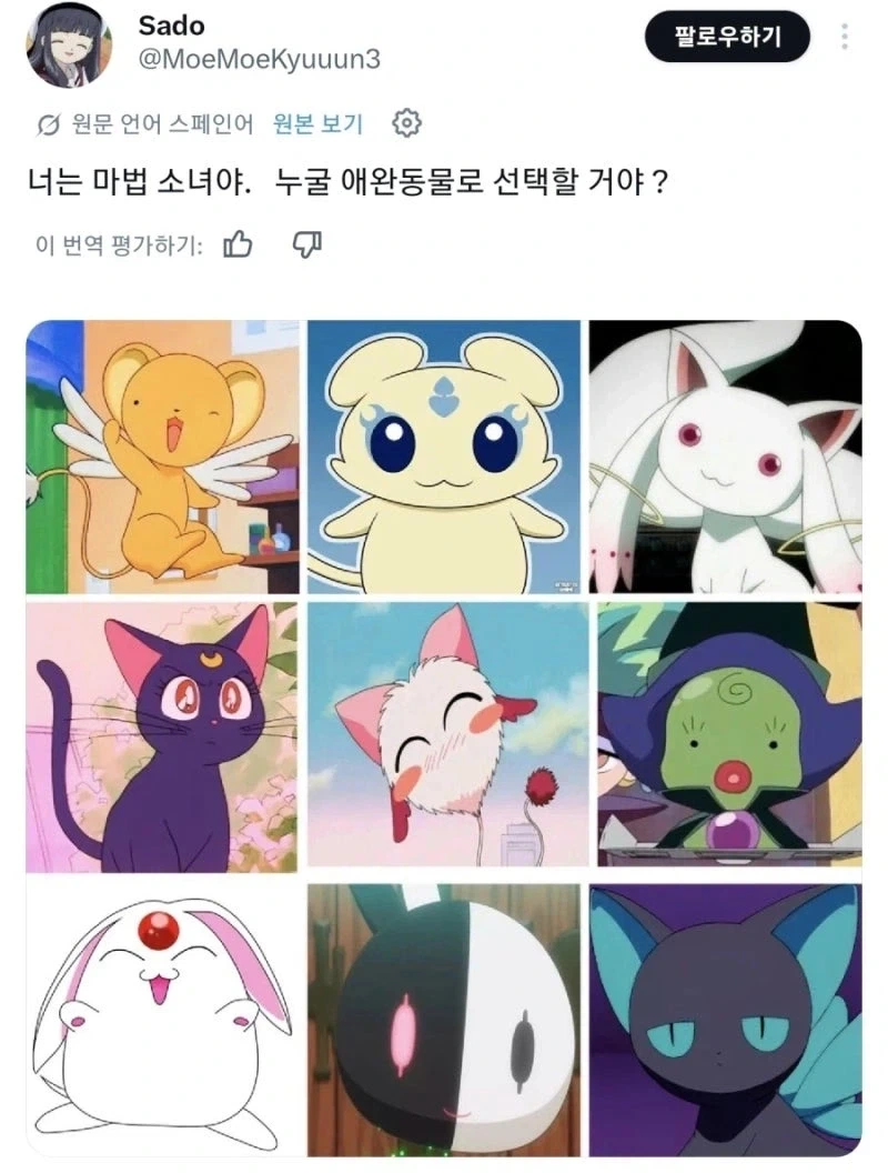 마법소녀야 바깥 세상은 위험하단다