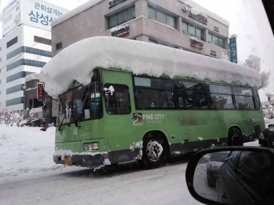 한국에도 운행한다는 스시 버스