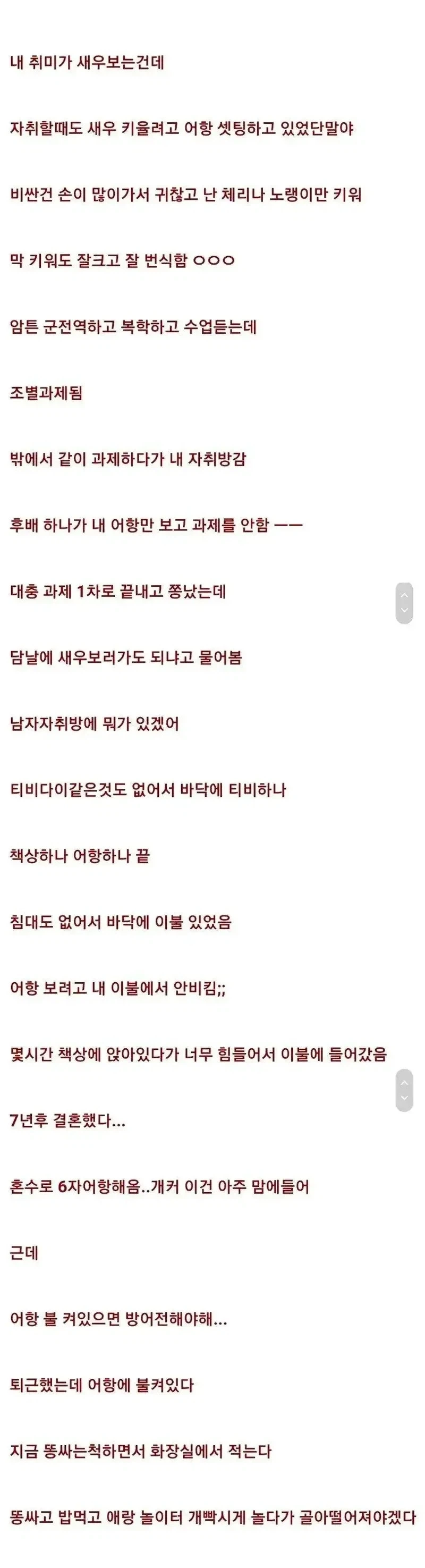 새우 키우면 위험한 이유