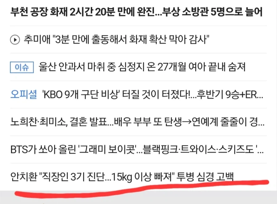 직장인 3기로 15kg 빠졌다길래 뭔가 했다