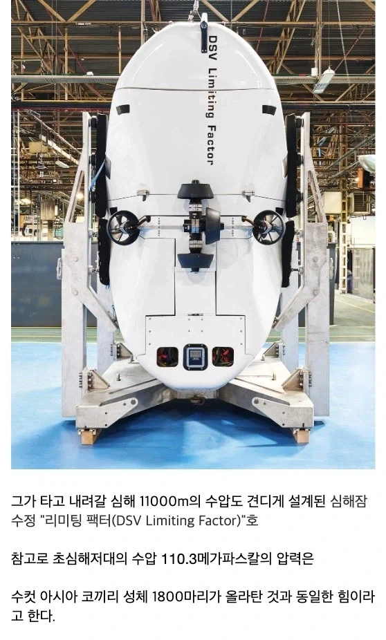 해저 10927m 밑에서 발견된 물체. - 이미지 2