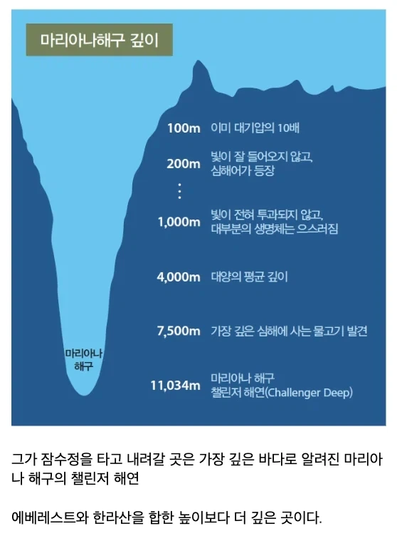 해저 10927m 밑에서 발견된 물체. - 이미지 4