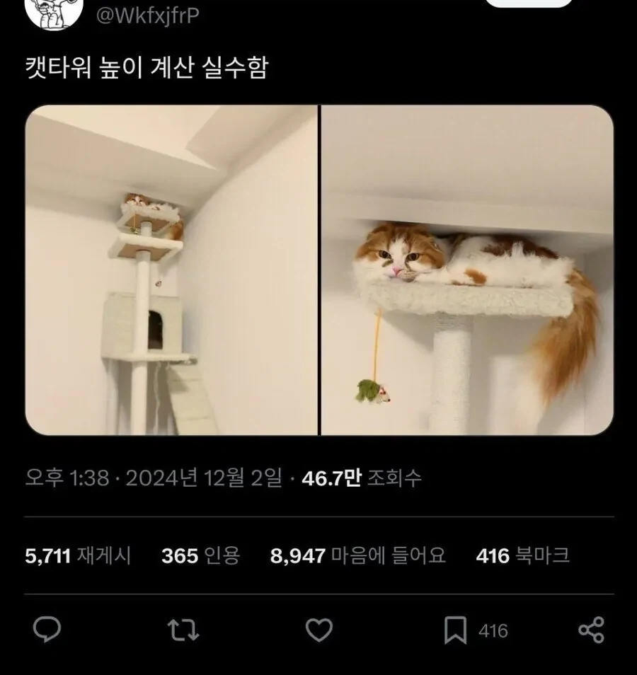 캣타워 높이 계산 실수함.jpg