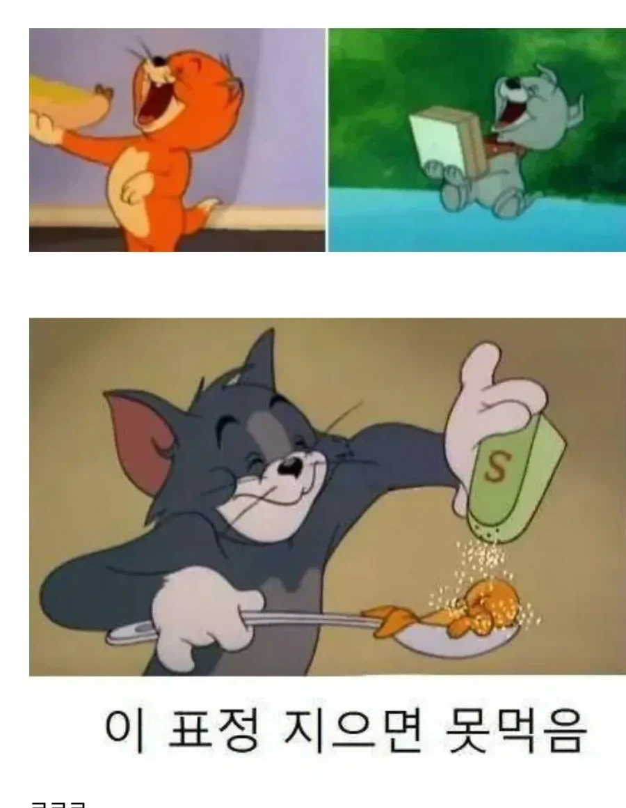 톰과 제리 본 사람은 아는거