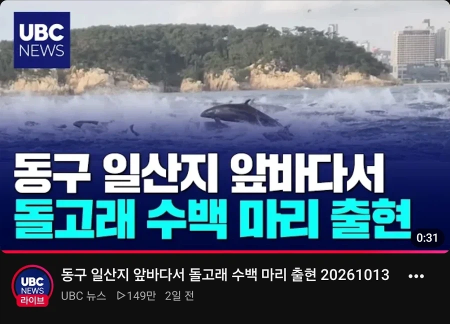뉴스 나오길래 역시 뭔일 생길줄 알았다..