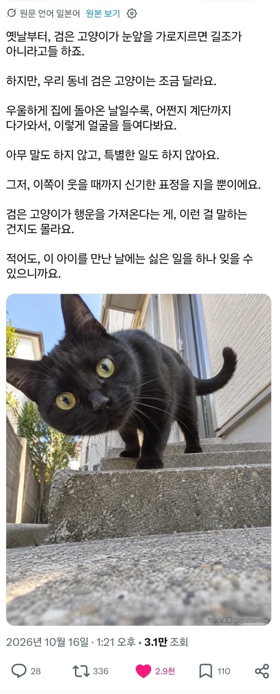 거 뭔 안 좋은 일이라도 있었냥.x